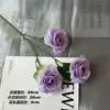 Dg lu lian