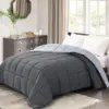Gris foncé et gris
