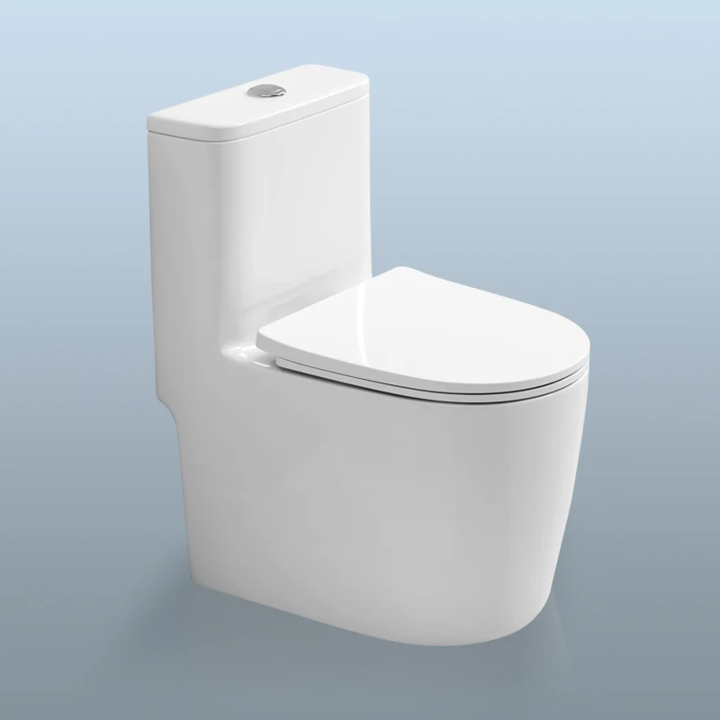 Nieuw Ontwerp Wit Vloorgeplaatst Ceramic WC Dubbele Afvoer Badkamer Sanitaire Installatie Een-Stuk Toilet