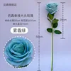 Haze Green Single-stem Large-headed Rose