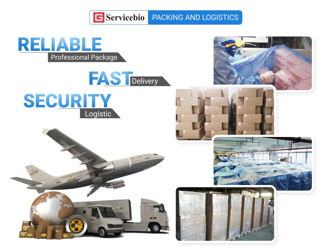 Packing & Logistics.jpg
