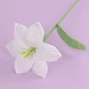Branches de fleurs de bulbe de lys blanc