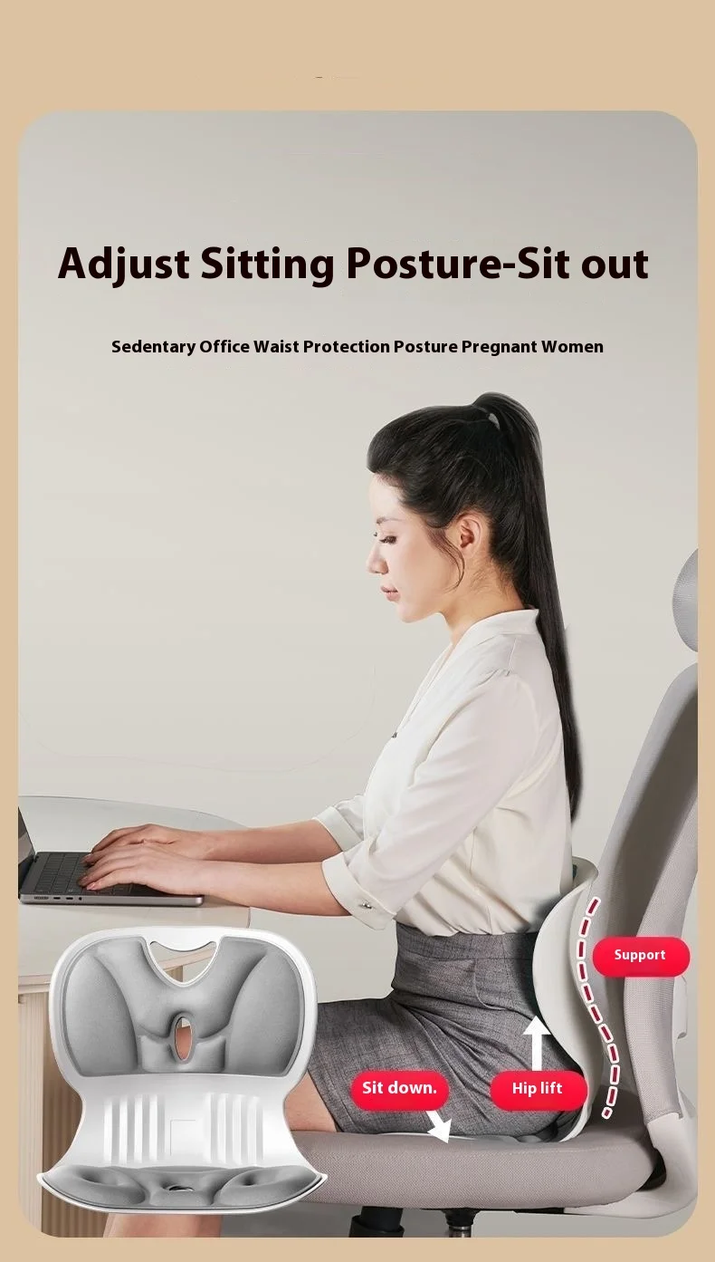 Celebrity Style Ergonomic Sitting Chair with Big Brand Seat Cushion and Lumbar Support Artifacts Lumbar Support Chair