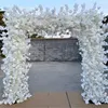 Rose blanche en fleurs de cerisier