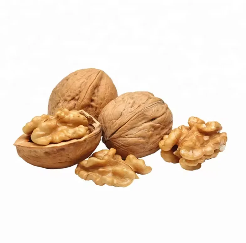Chinese Walnut Kernel Light Halves Delicious Nut and Kernels China Origin Shelled and Unshelled Roasted Walnut Kernel for Sale