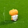 1#  Nano di zucca