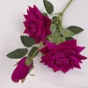 magenta