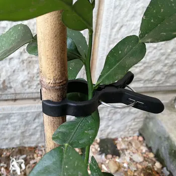 Gardening Plastic Clips Protect Plant Branches Cucumber Tomato Eggplant Flower Support Garden Clips