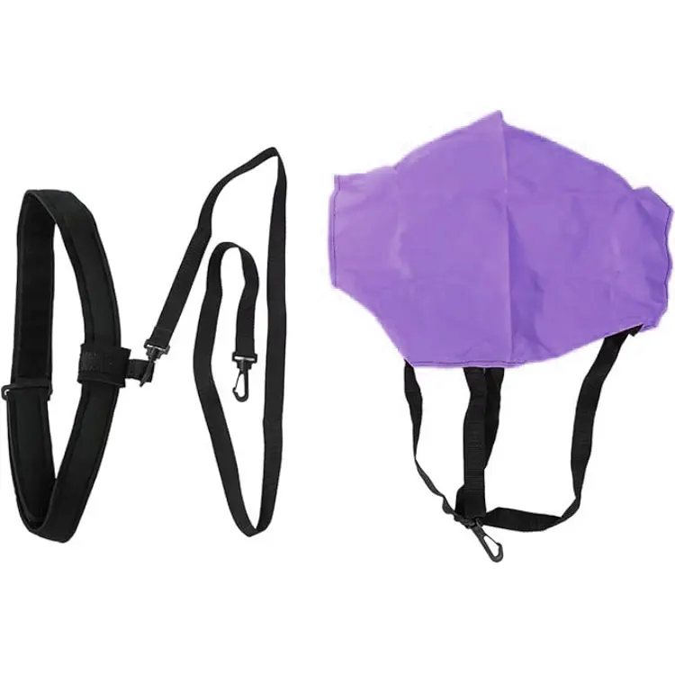 Swim-Training-Belt-purple.jpg
