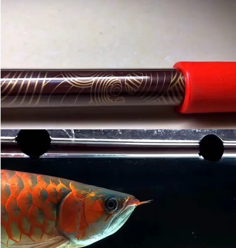 MAYIN Ma Yin Arowana Three Primary Color Brightening Light