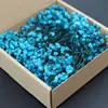 Aliento de bebé azul - 50 unidades en caja