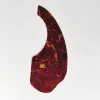 Couleur de carapace de tortue rouge