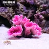 Donut coral rosa