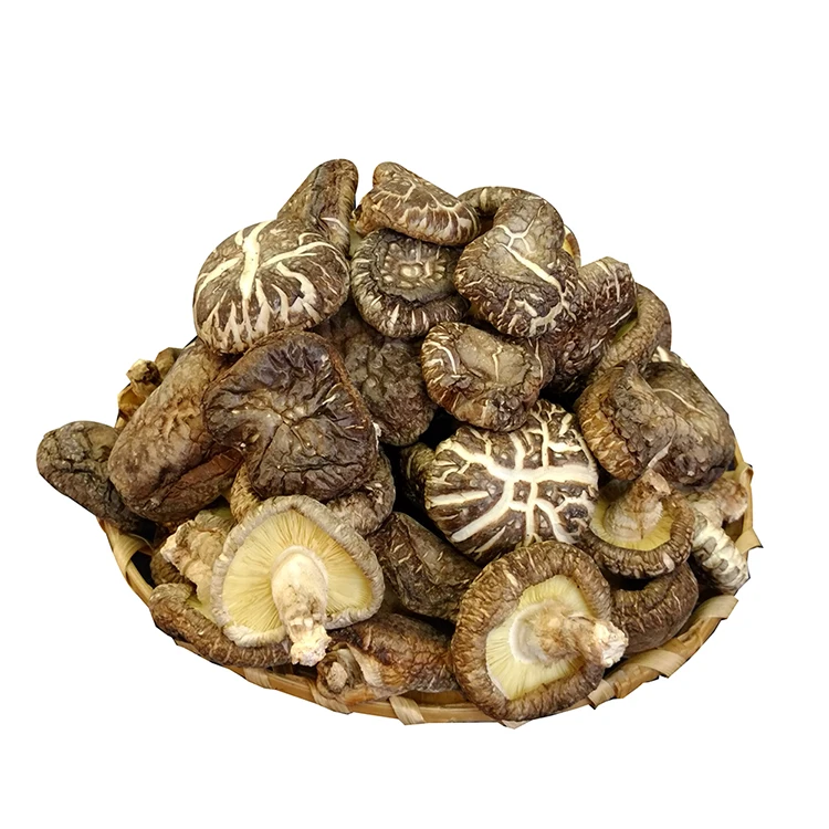 Сыпучие изысканные сушеные грибы Shiitake, 1 кг, цена со скидкой 20% за 100 г