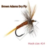 Marrone