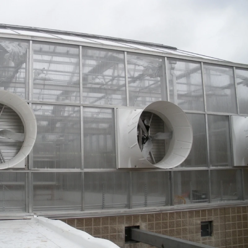 Large Air Flow High Efficiency IP55 Waterproof Chicken House Poultry Farm Ventilation Extractor Poultry House Exhaust Fan