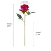 Rose rouge