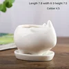 FP Rinoceronte Pequeño + Soporte