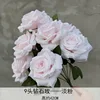 9 heads diamond rose light powder