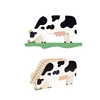 Vaca