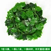81-leaf pothos (12 pieces)