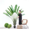 Plante en pot Oiseau de Paradis Overlord de 220 cm