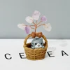 16 Basket cat 1