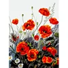 colorato