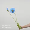 Ice Soul Blue