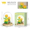 P1175 gentlemen's gold chrysanthemum