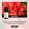 Geranium