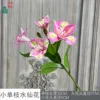 ดอกแดฟโฟดิลก้านเดี่ยวขนาดเล็ก สีชมพูปานกลาง