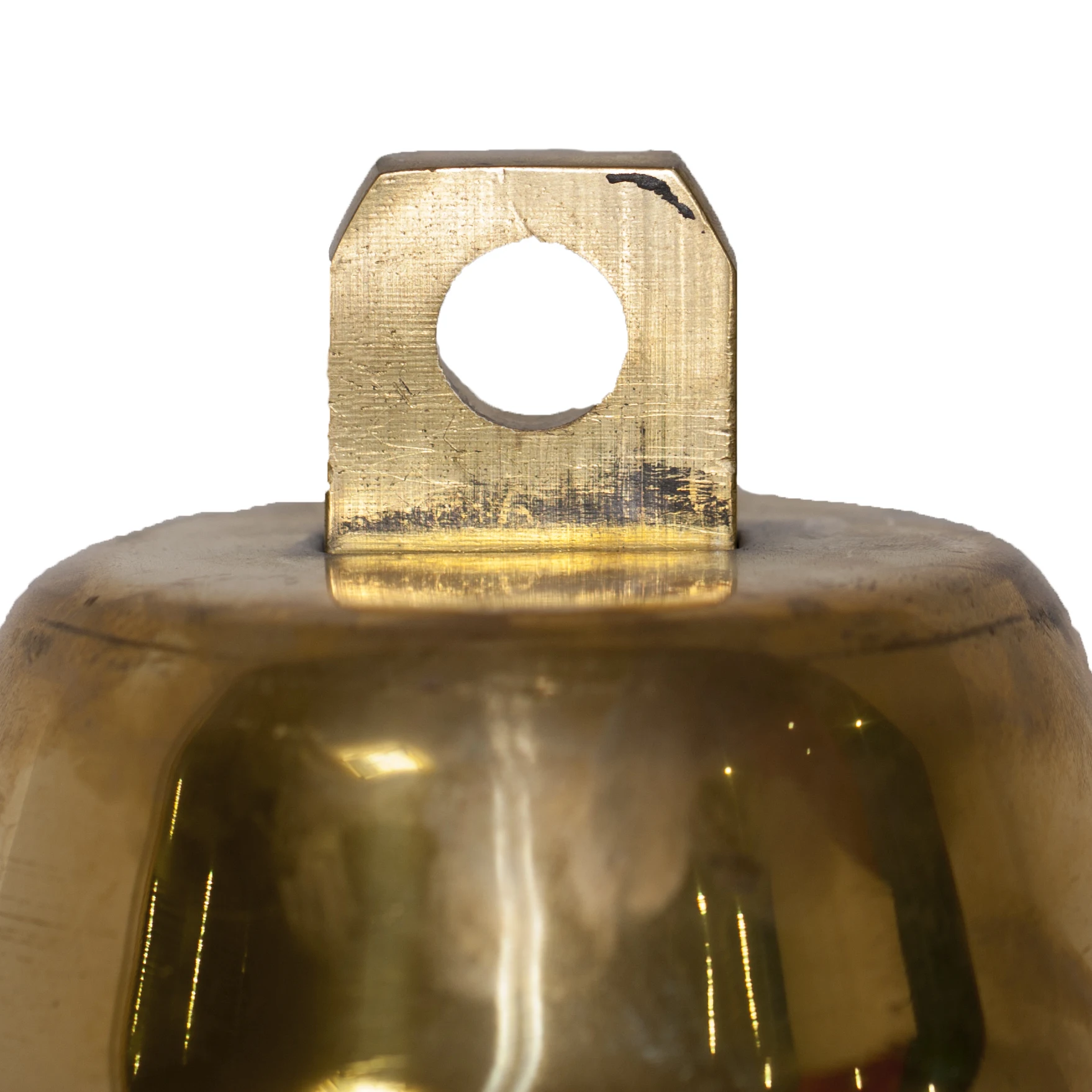 Морской туманный колокольчик