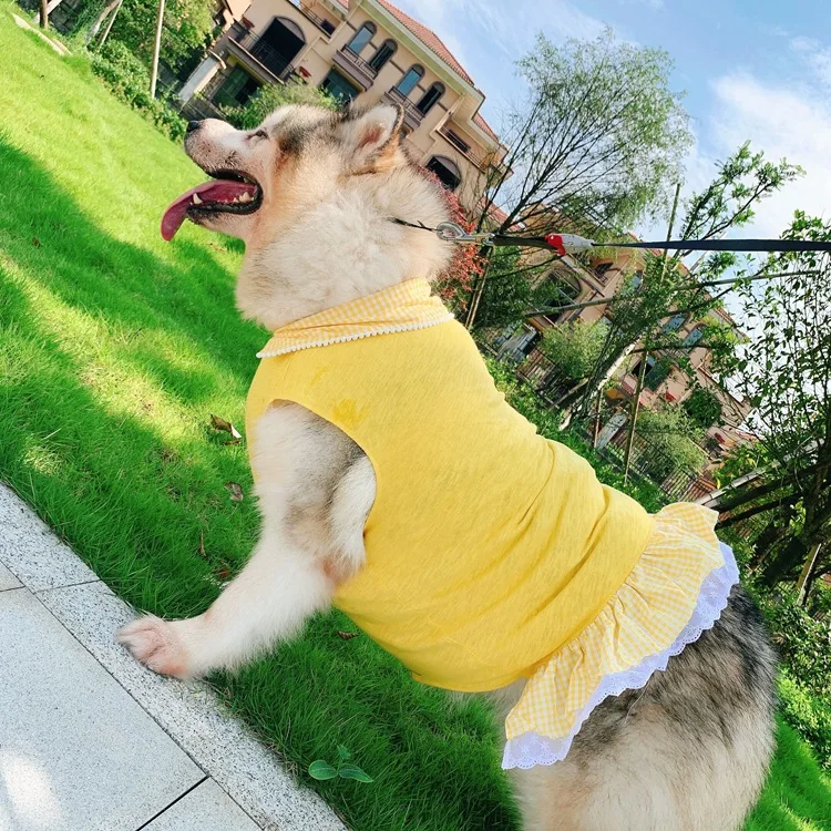 dog dress for golden retriever Golden Retriever Tummy Warmer Dog Vest – Voyagers K9 Apparel main image 0