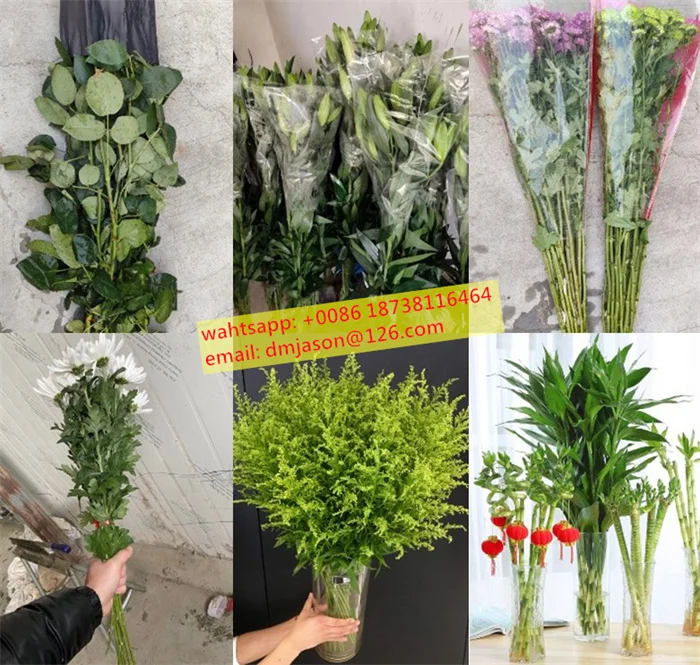 Flower bouquets guillotine, flower bunch stem cutter, flower cutter,  Chinese herbal cutter, Chinese herbal medicine cutting - AliExpress