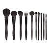 10 Brush Set