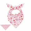 Strawberry Cat Triangle Bandana
