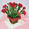 Cesto di fiori di garofano