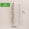 Garlic [1.5 meters]