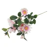 White Pink