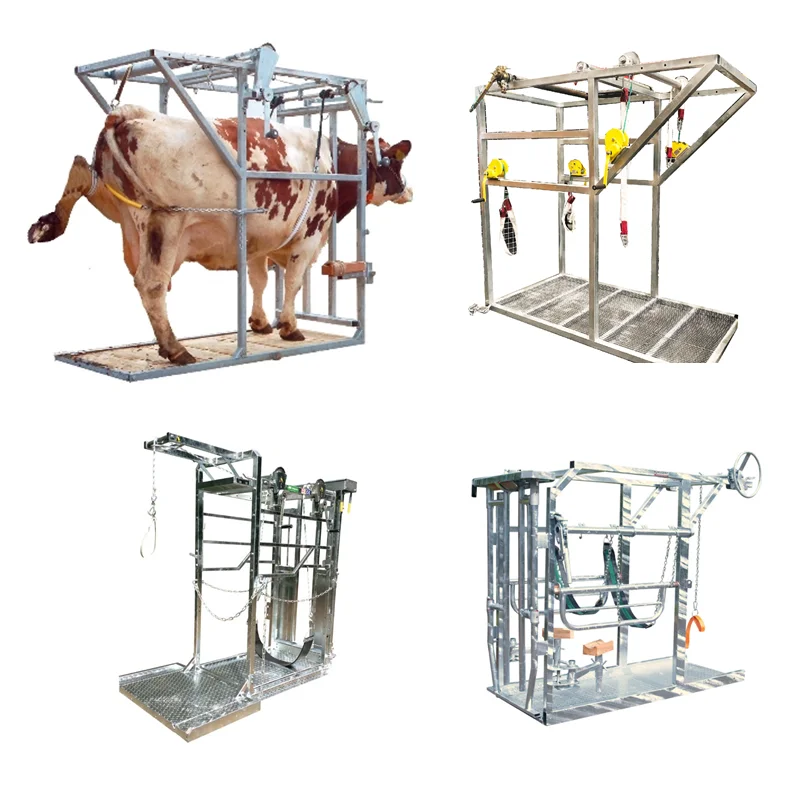 Cattle equipment / Cattle Hoof Trimming / Dairy Cow Machine Hoof Repairing Equipment
