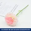 Single-headed short-stem carnation - light pink