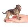 2928 Chien Mastif Napolitain