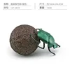 colorato PL127-2919 Spingitore di sterco verde 102 g