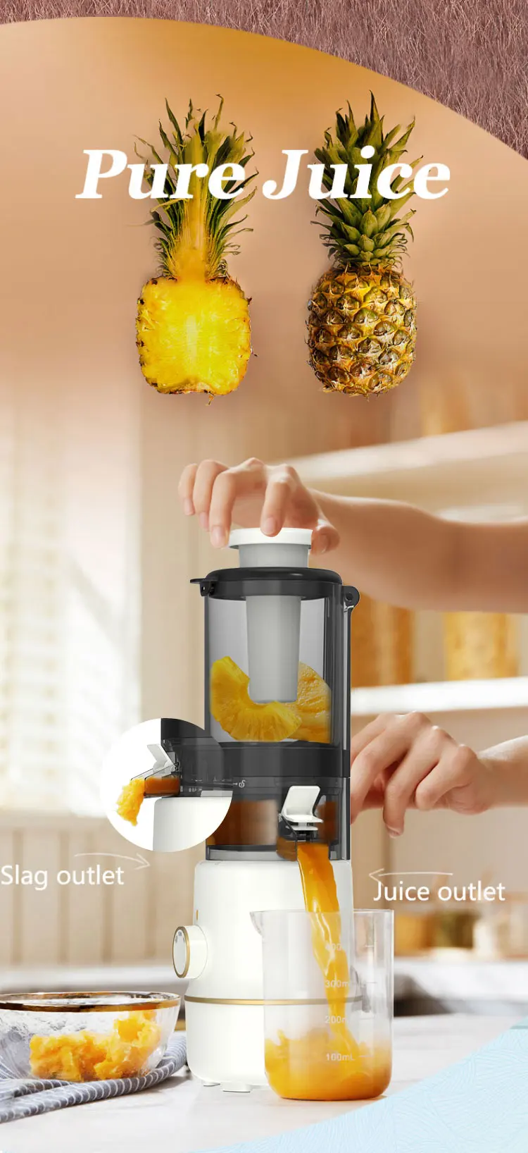 Professional Juicer Extractor Machine With Cold Press Juicer High Juice
