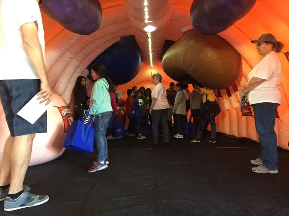 Giant Inflatable Body Replica Model for Medical Exhibitions ...