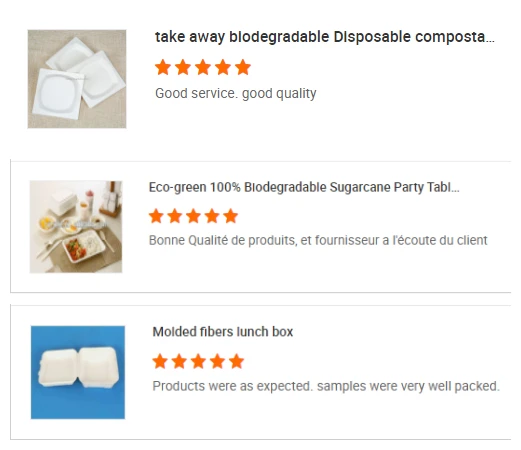 ECO-Friendly Extra Strength White Bagasse Cake Plates Biodegradable and Disposable