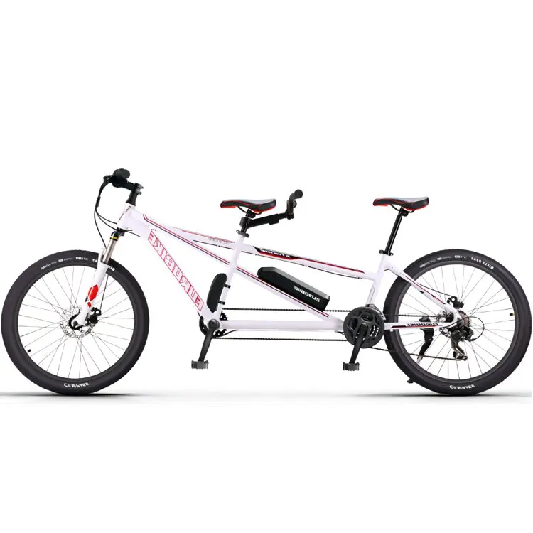 Eurobike Factory 350W Electric Tandem Bike for Persons