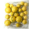 colorful Mixed pack of 20 yellow balls (5 each of