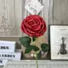 WP - กุหลาบ Royal Rose ก้านเดี่ยว - สีแดง